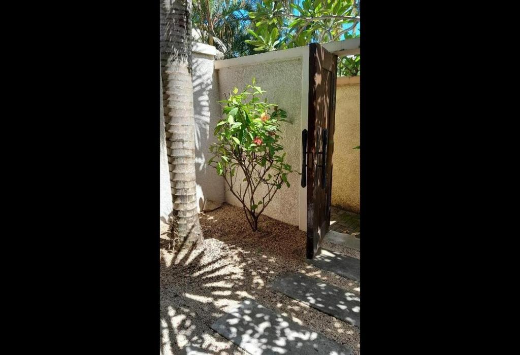 Oasis 1 Villa Tropicale Grand Bay Exteriér fotografie